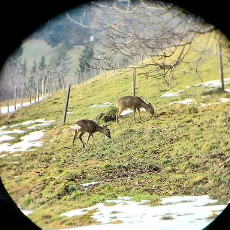 Apartment La Paquerette *